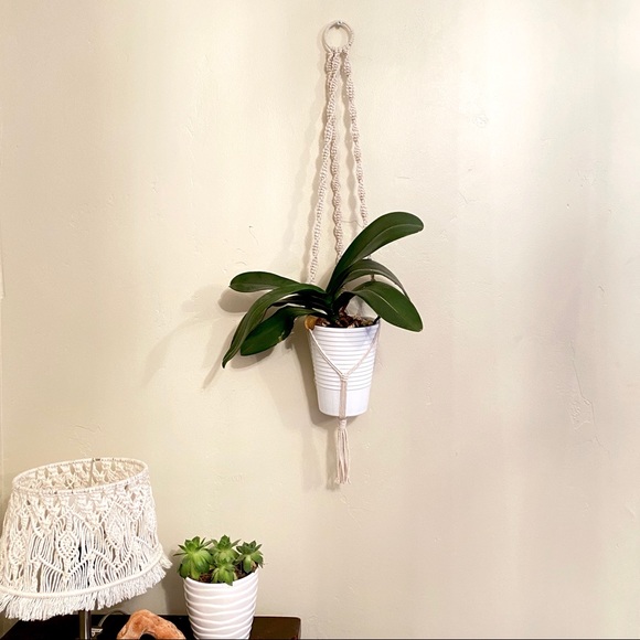 Hand made Macrame plant hanger - Picture 5 of 8